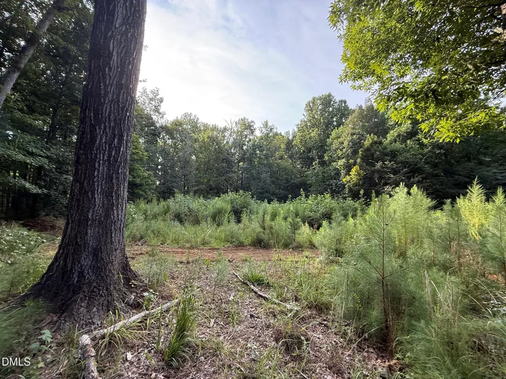 Lot 1 Orange Grv Street Hillsborough, NC 27278