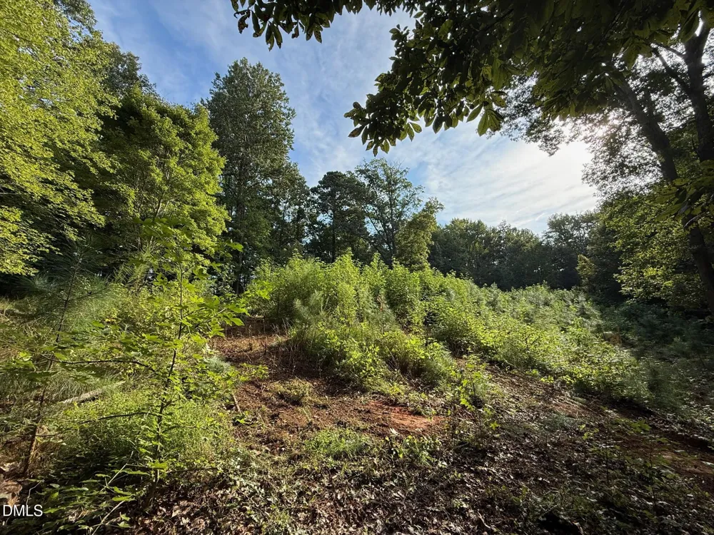 Lot 1 Orange Grv Street Hillsborough, NC 27278