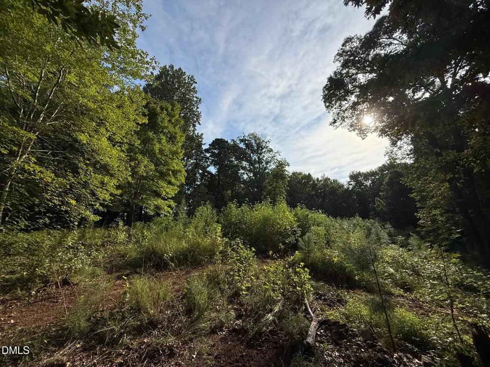 Lot 1 Orange Grv Street Hillsborough, NC 27278