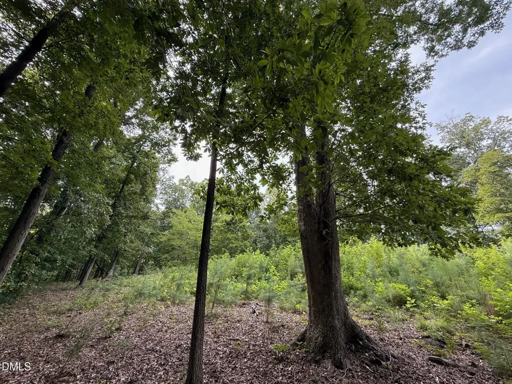 Lot 1 Orange Grv Street Hillsborough, NC 27278