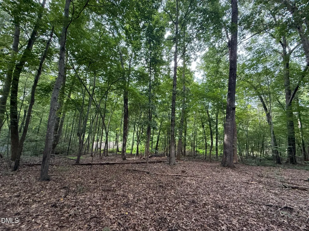 Lot 1 Orange Grv Street Hillsborough, NC 27278