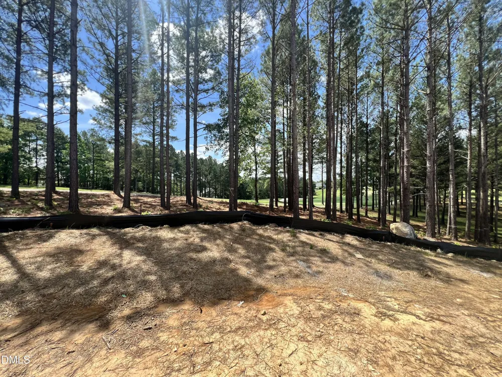 25 Blackhorn Court Pittsboro, NC 27312