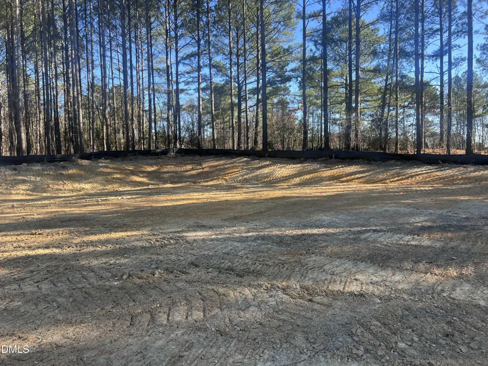 25 Blackhorn Court Pittsboro, NC 27312