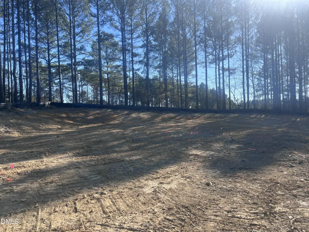 25 Blackhorn Court Pittsboro, NC 27312