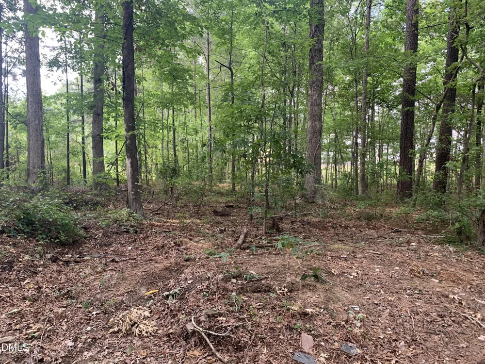 129 Green Drive Morrisville, NC 27560