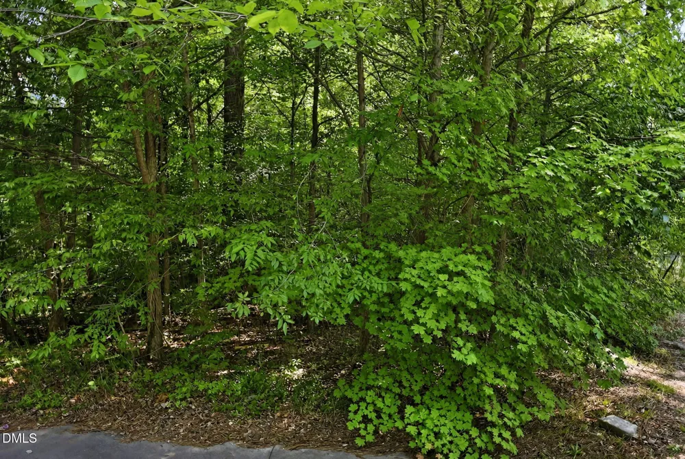 0 Heather Court Franklinton, NC 27525