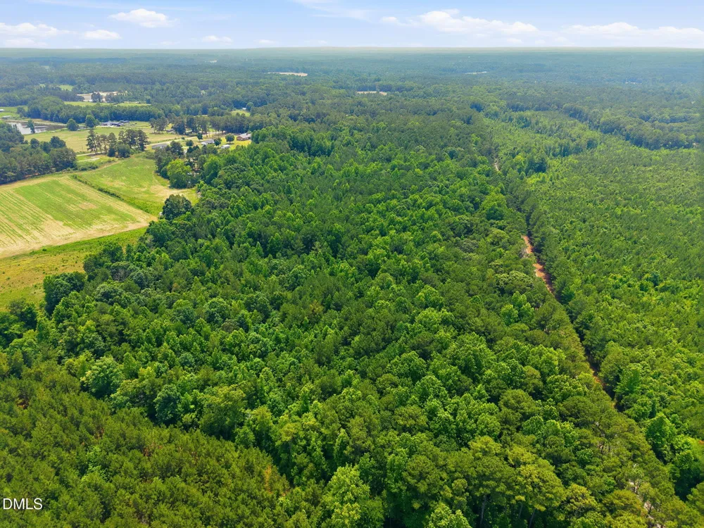 0 Sellars Road Cameron, NC 28326