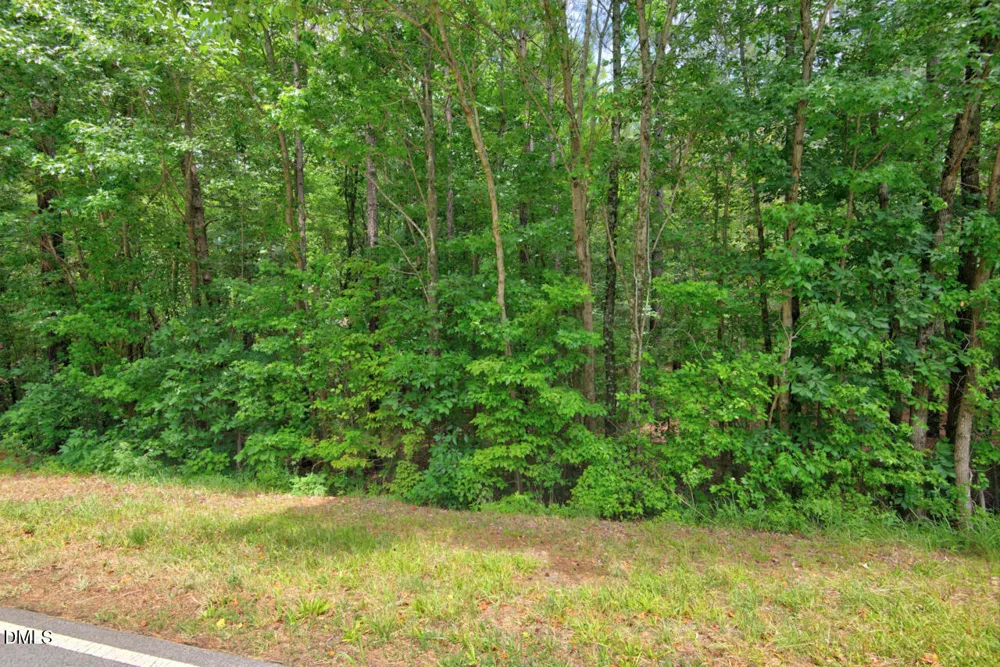 0000 Dodsons Crossroads Hillsborough, NC 27278