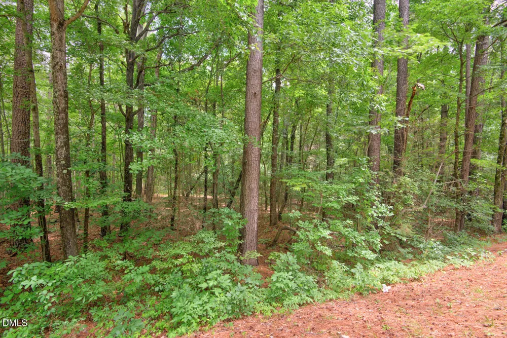 0000 Dodsons Crossroads Hillsborough, NC 27278