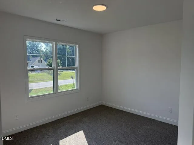 199 Waters Edge Drive Erwin, NC 28339