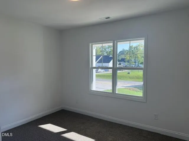 199 Waters Edge Drive Erwin, NC 28339