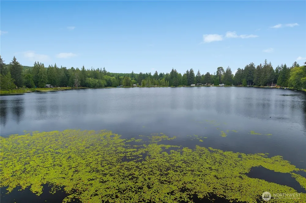 53 Lake Arrowhead Elma, WA 98541