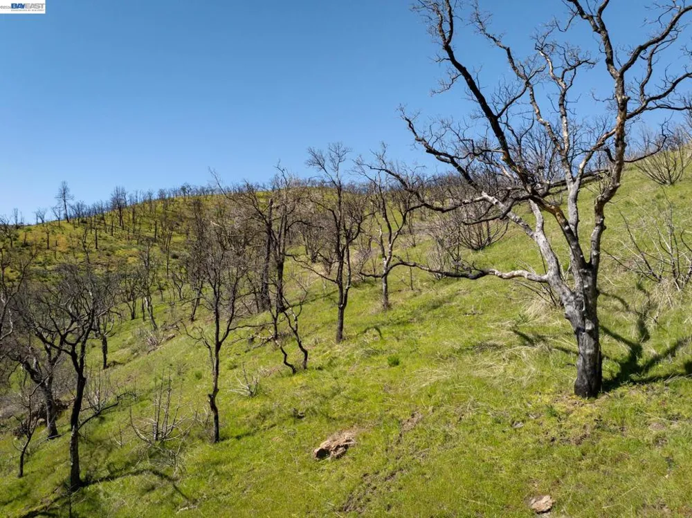 15676 W Corral Hollow Rd Tracy, CA 95377