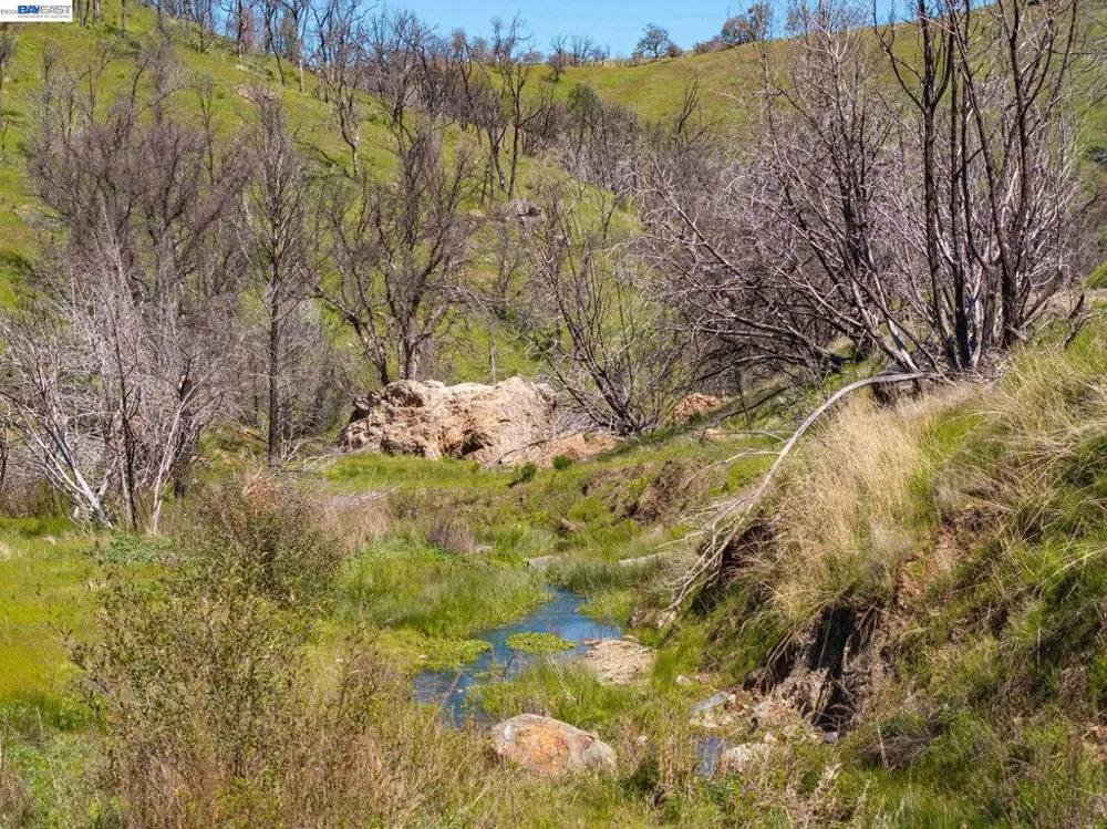 15676 W Corral Hollow Rd Tracy, CA 95377