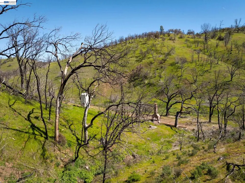 15676 W Corral Hollow Rd Tracy, CA 95377