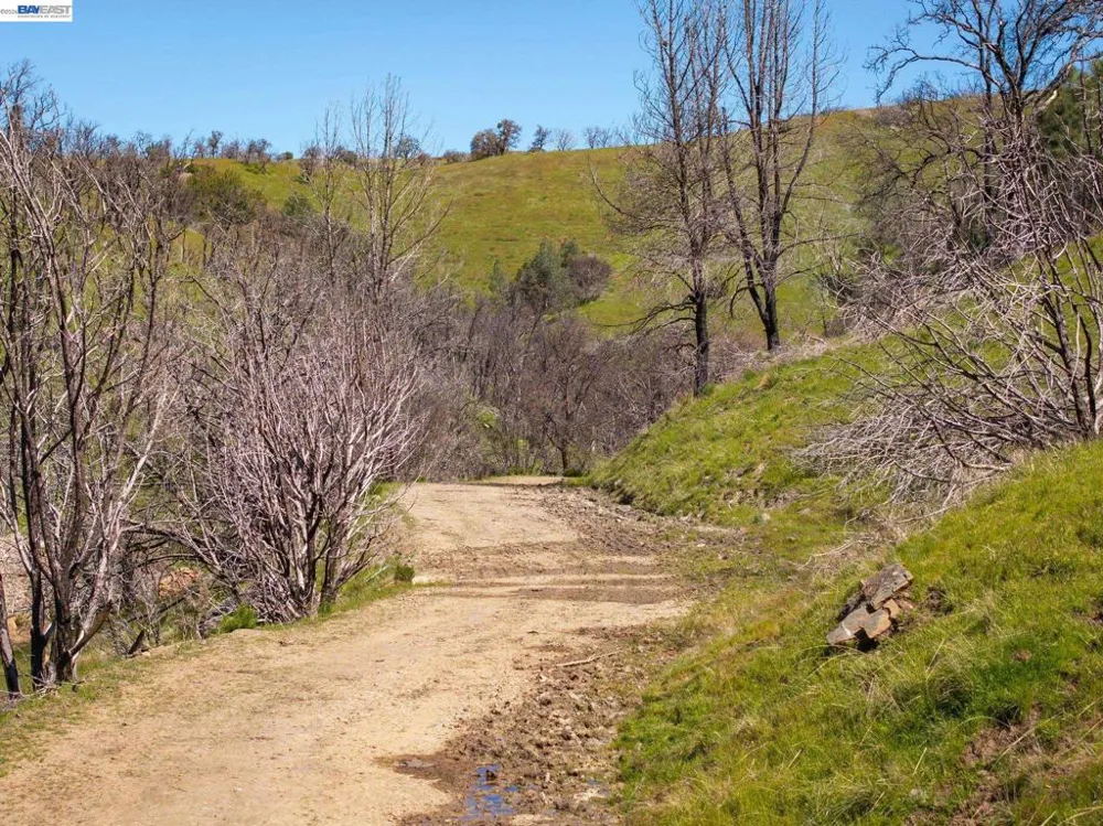 15676 W Corral Hollow Rd Tracy, CA 95377