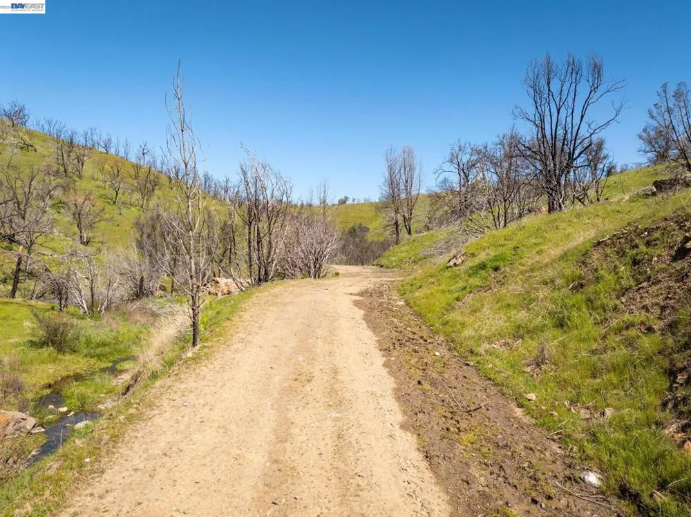 15676 W Corral Hollow Rd Tracy, CA 95377