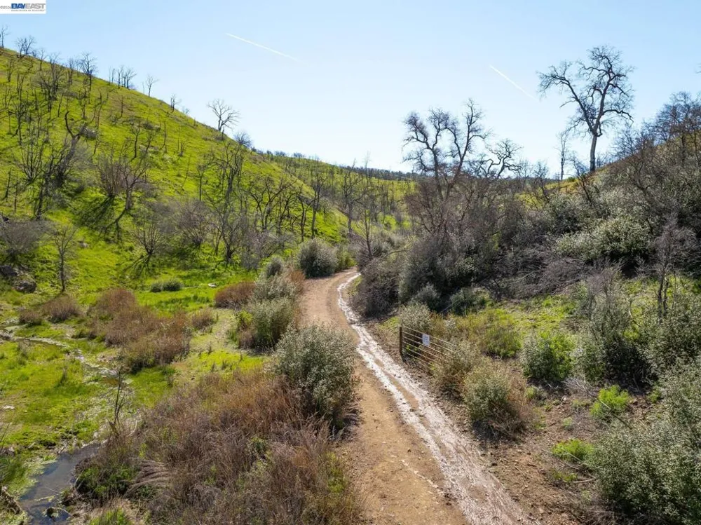 15676 W Corral Hollow Rd Tracy, CA 95377