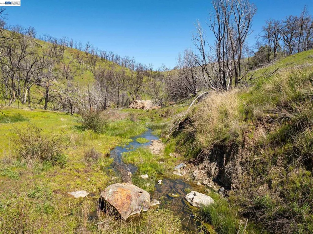 15676 W Corral Hollow Rd Tracy, CA 95377