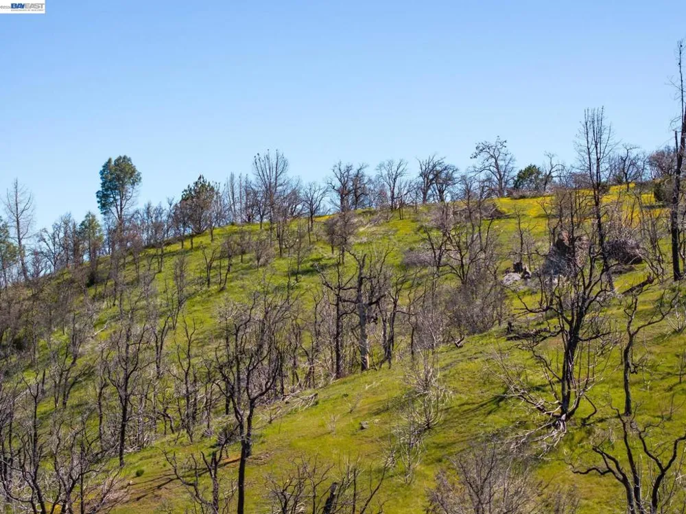 15676 W Corral Hollow Rd Tracy, CA 95377