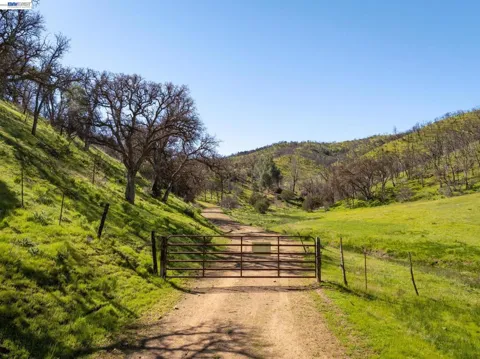 15676 W Corral Hollow Rd