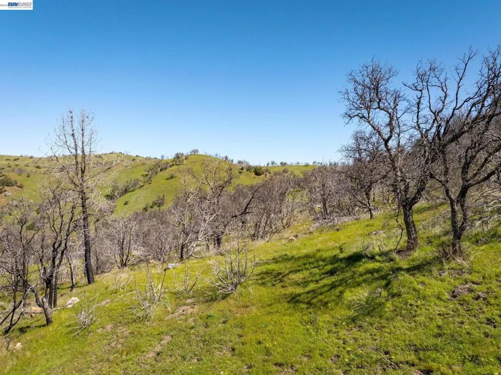 15676 W Corral Hollow Rd Tracy, CA 95377