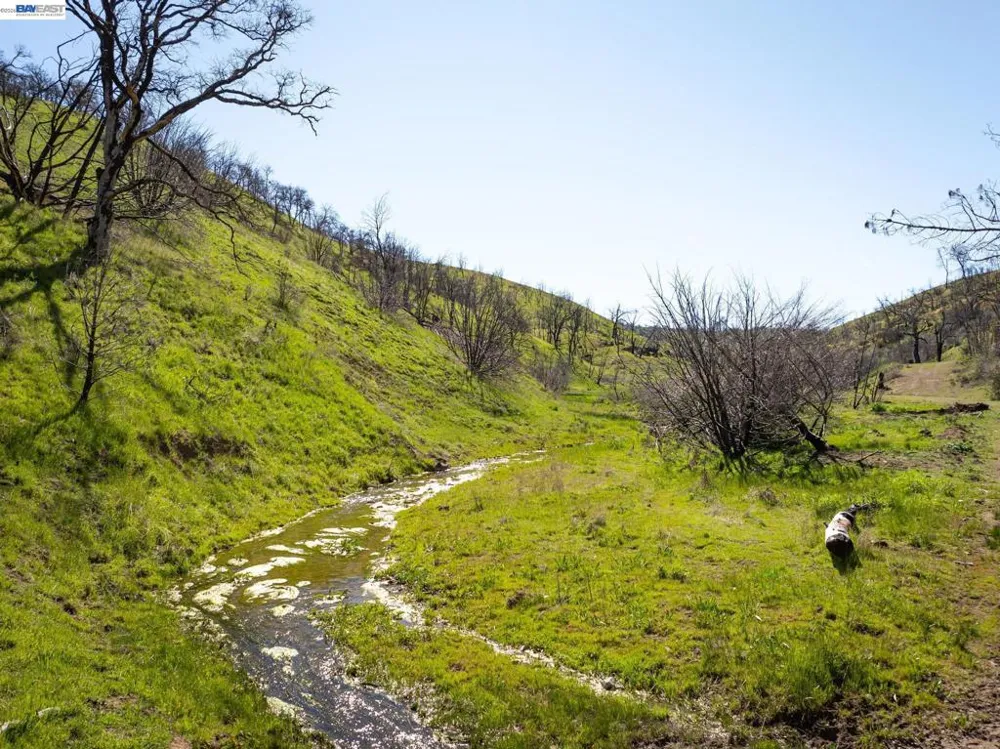 15676 W Corral Hollow Rd Tracy, CA 95377
