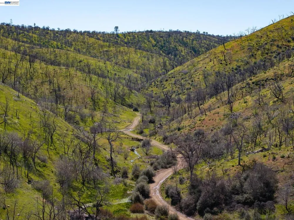 15676 W Corral Hollow Rd Tracy, CA 95377