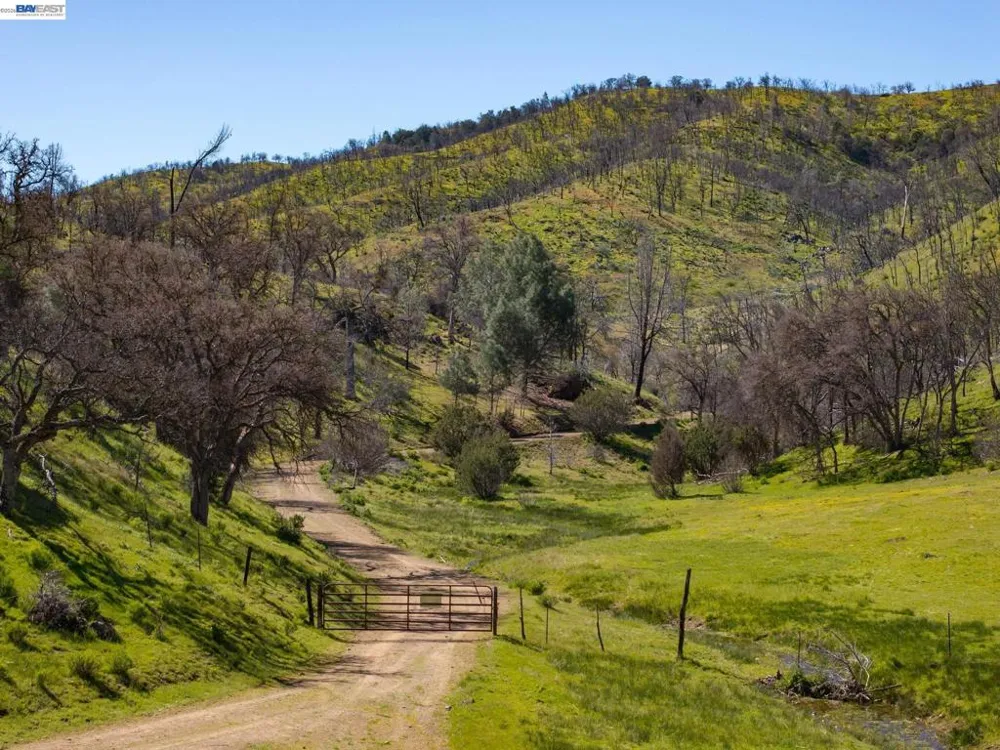 15676 W Corral Hollow Rd Tracy, CA 95377