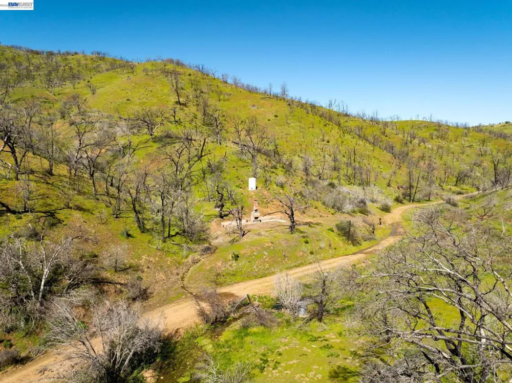 15676 W Corral Hollow Rd Tracy, CA 95377