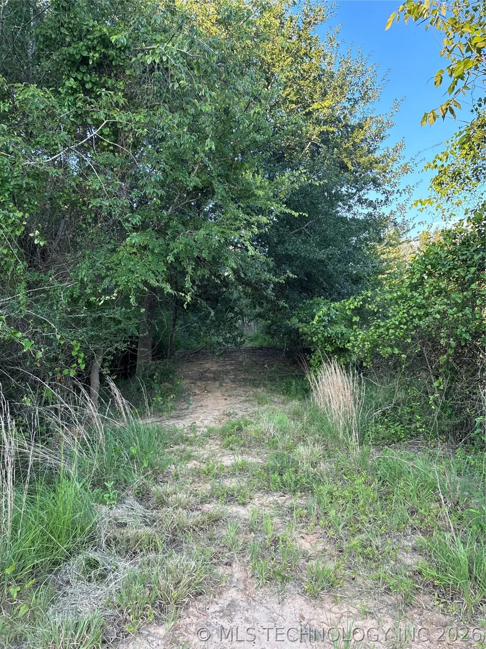 7 Cornelius Road Antlers, OK 74523