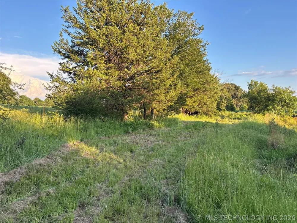 7 Cornelius Road Antlers, OK 74523