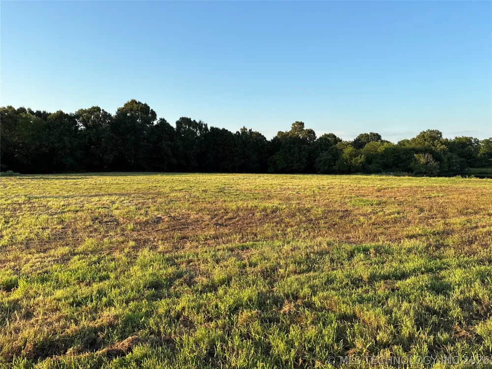 7 Cornelius Road Antlers, OK 74523