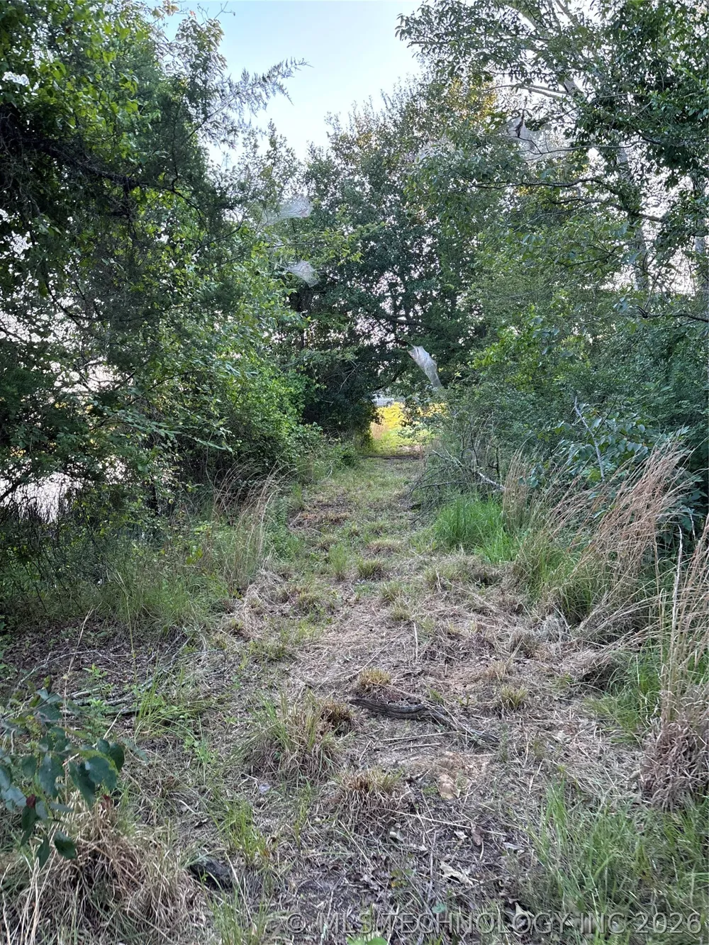 7 Cornelius Road Antlers, OK 74523