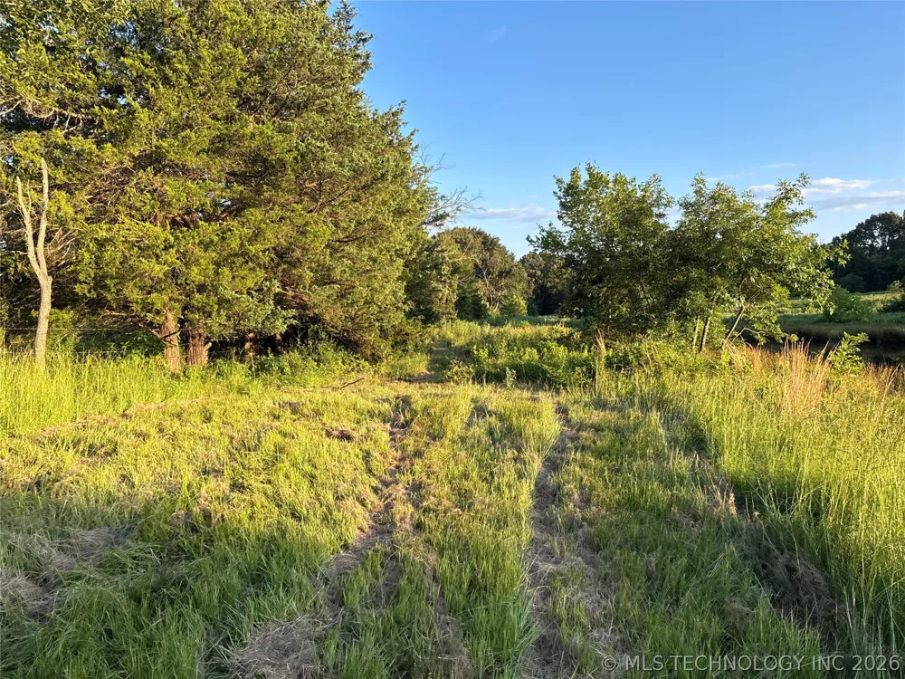 7 Cornelius Road Antlers, OK 74523