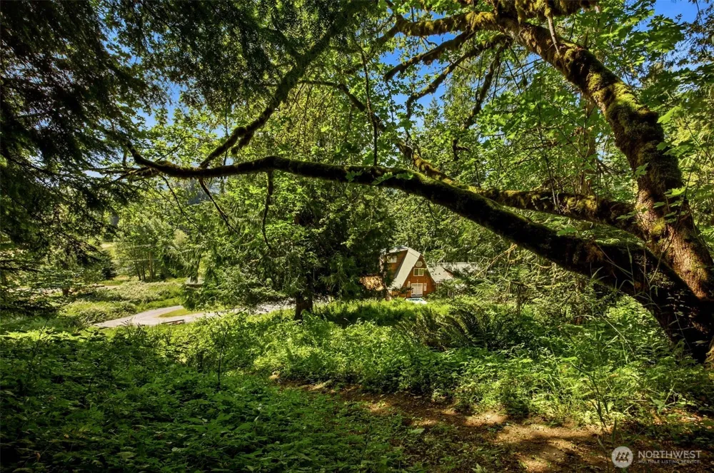 33217 Mount Tahoma Canyon Road E Ashford, WA 98304