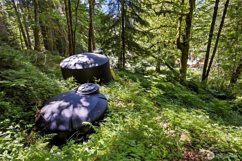 33217 Mount Tahoma Canyon Road E Ashford, WA 98304