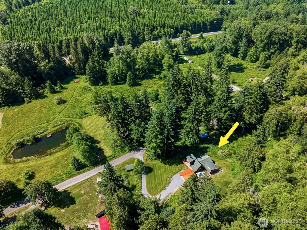 33217 Mount Tahoma Canyon Road E Ashford, WA 98304
