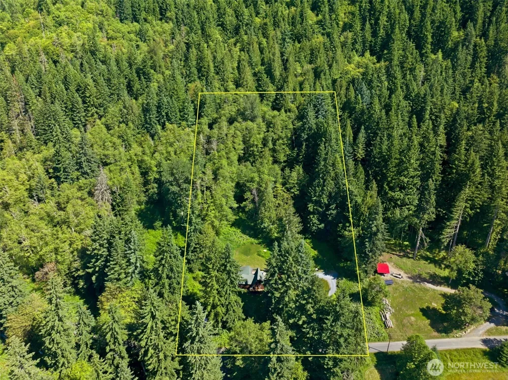 33217 Mount Tahoma Canyon Road E Ashford, WA 98304