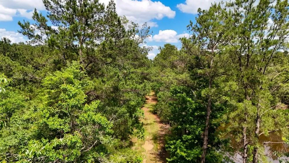 Private Rd 5170 Kirbyville, TX 75956