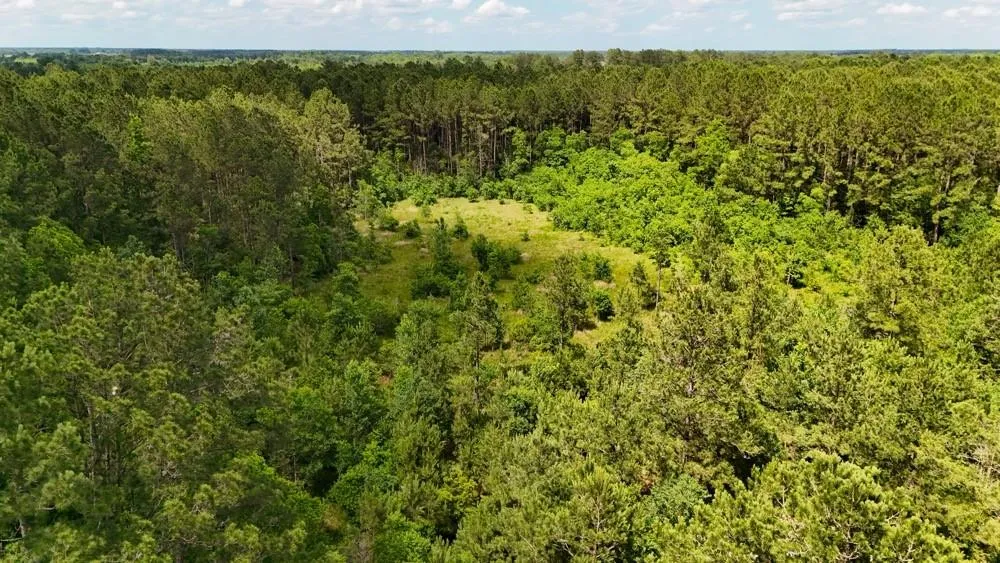 Private Rd 5170 Kirbyville, TX 75956
