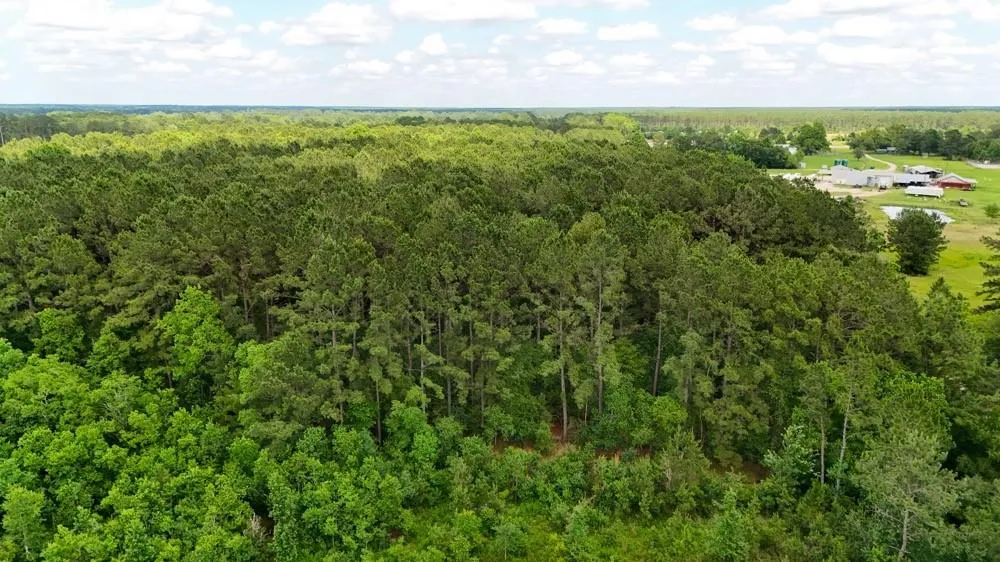 Private Rd 5170 Kirbyville, TX 75956