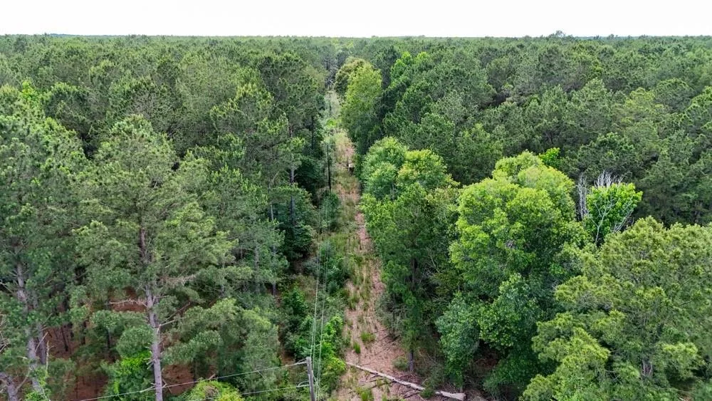 Private Rd 5170 Kirbyville, TX 75956