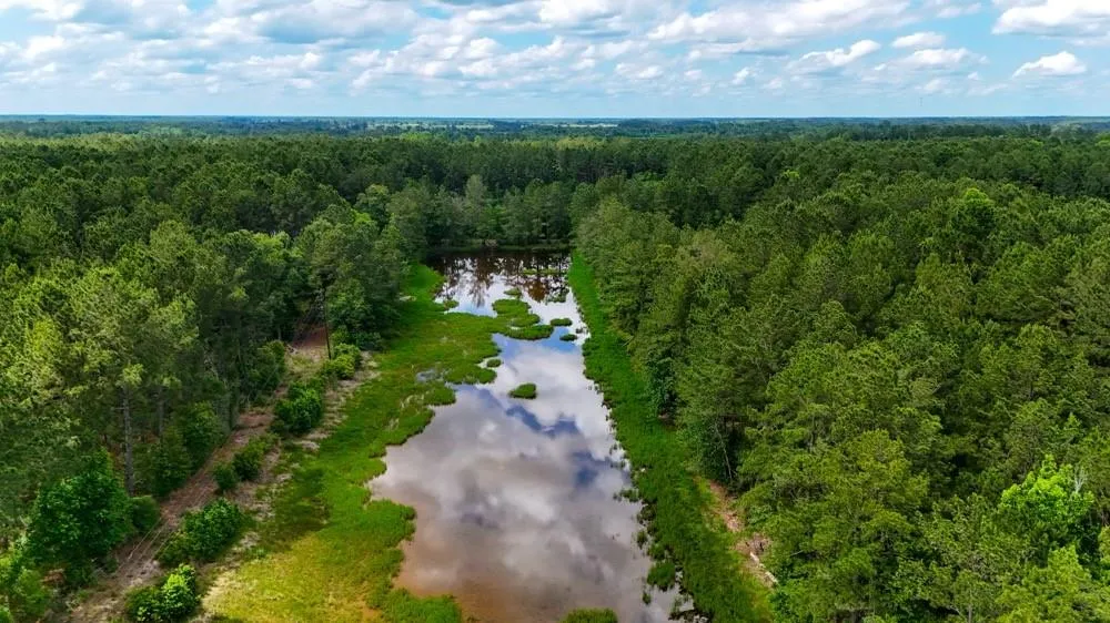 Private Rd 5170 Kirbyville, TX 75956