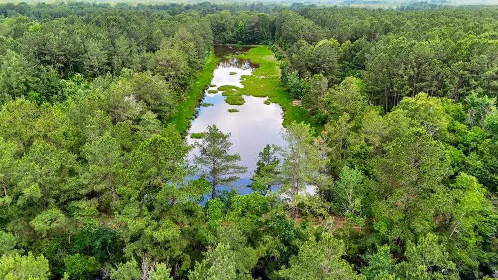 Private Rd 5170 Kirbyville, TX 75956
