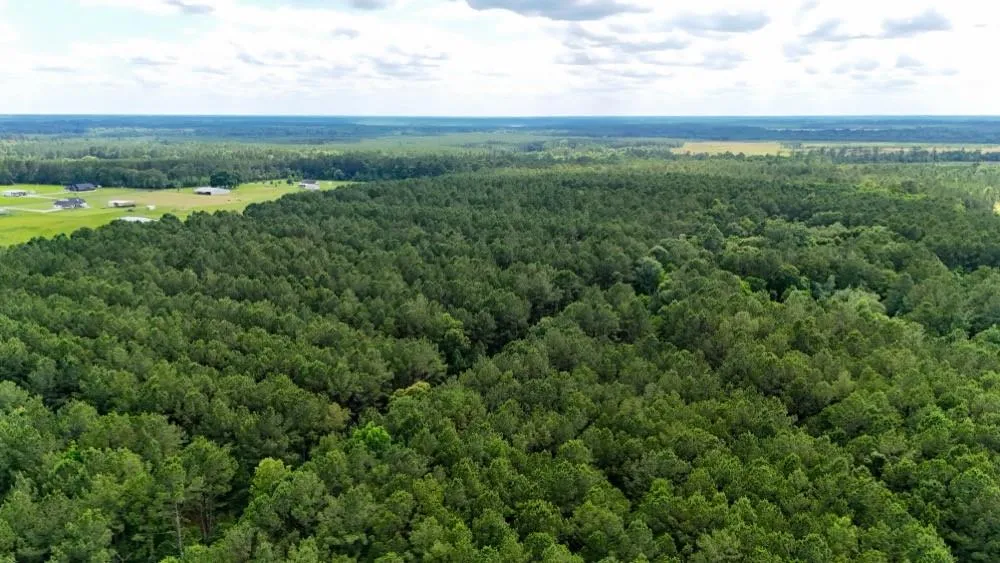 Private Rd 5170 Kirbyville, TX 75956