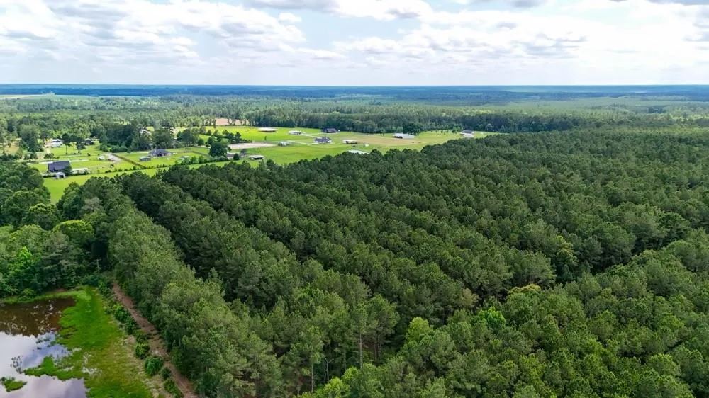 Private Rd 5170 Kirbyville, TX 75956