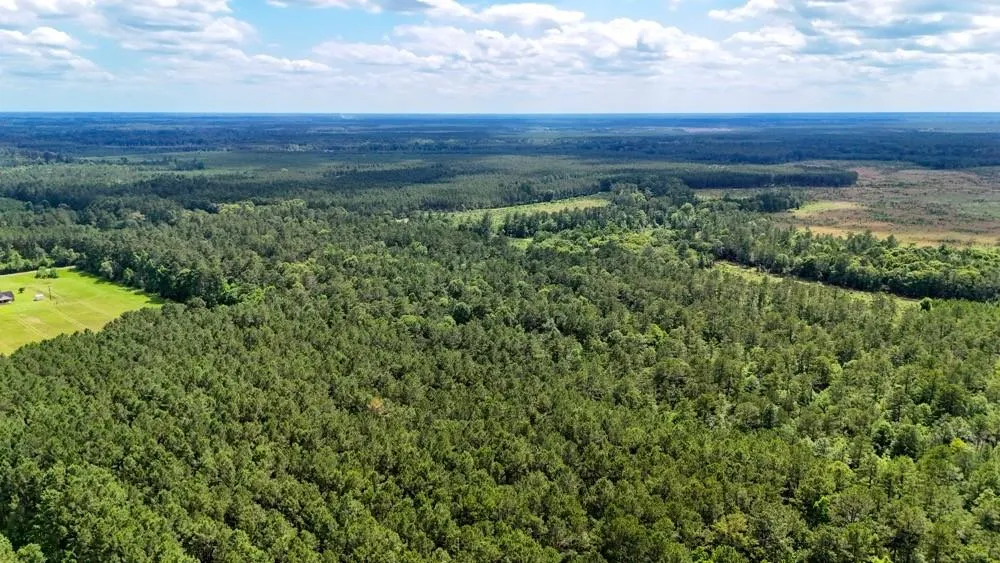 Private Rd 5170 Kirbyville, TX 75956
