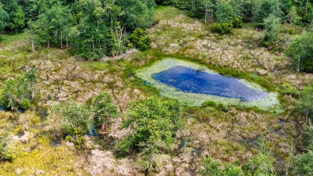 Private Rd 5170 Kirbyville, TX 75956