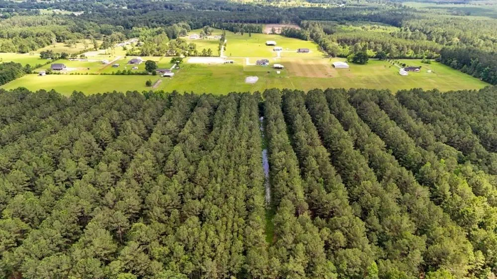 Private Rd 5170 Kirbyville, TX 75956